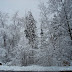 DSC00416.JPG