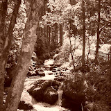 Voyage Tiberg Juin 2008