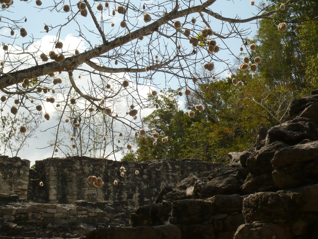 [Yucatan-tinou&julie 068[2].jpg]