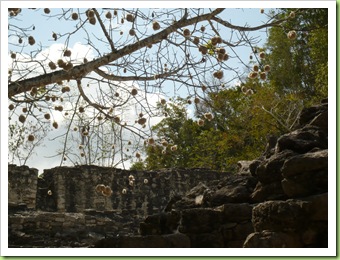 Yucatan-tinou&julie 068