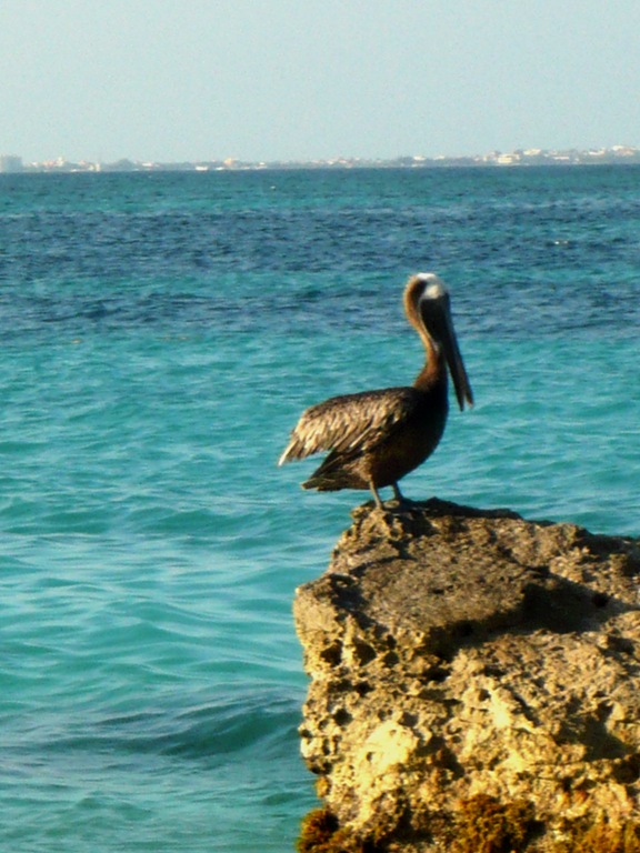 [Yucatan-tinou&julie 124[3].jpg]