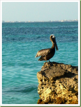 Yucatan-tinou&julie 124