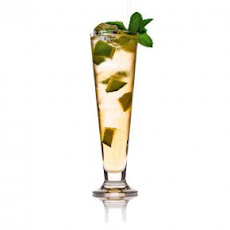 Golden Cup