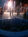 Entrance Fountain 