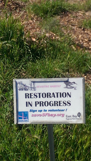 Restoration in Progress