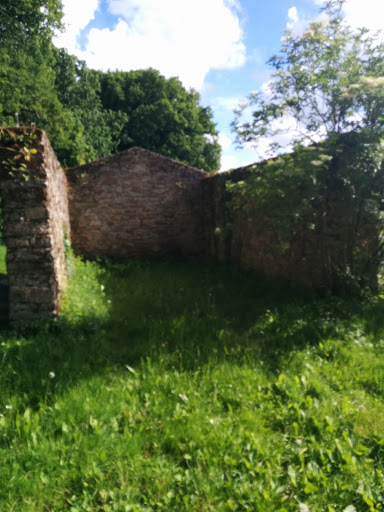 Ruines Du Château