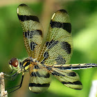 Halloween pennant