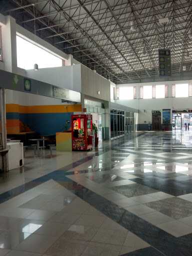 Terminal De Autobuses De Manzanillo 