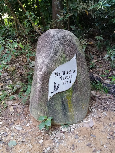 Macritchie Nature Trail