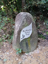 Macritchie Nature Trail