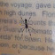 Golden Silk Orbweaver