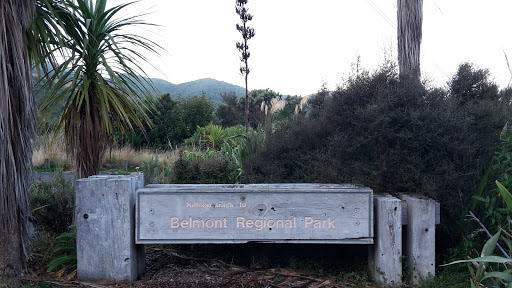 Belmont Regional Park - Kelson