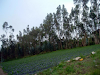 Terreno De Venta En Yaruqui Sector San Vicente
