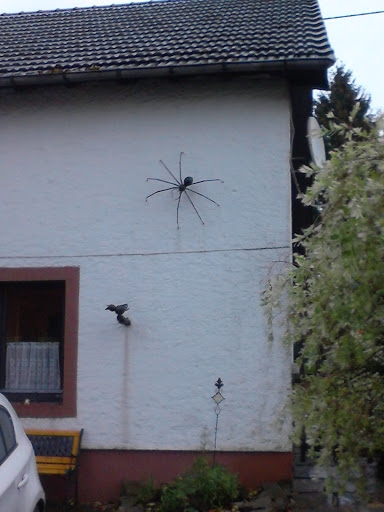 Die Schwarze Spinne