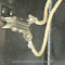 Paystations - Gray Western Electric 50-A  2 loc W2 12