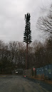 Electric Tree 2011.01.22