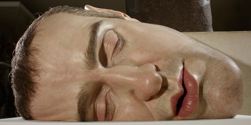 mueck506x253