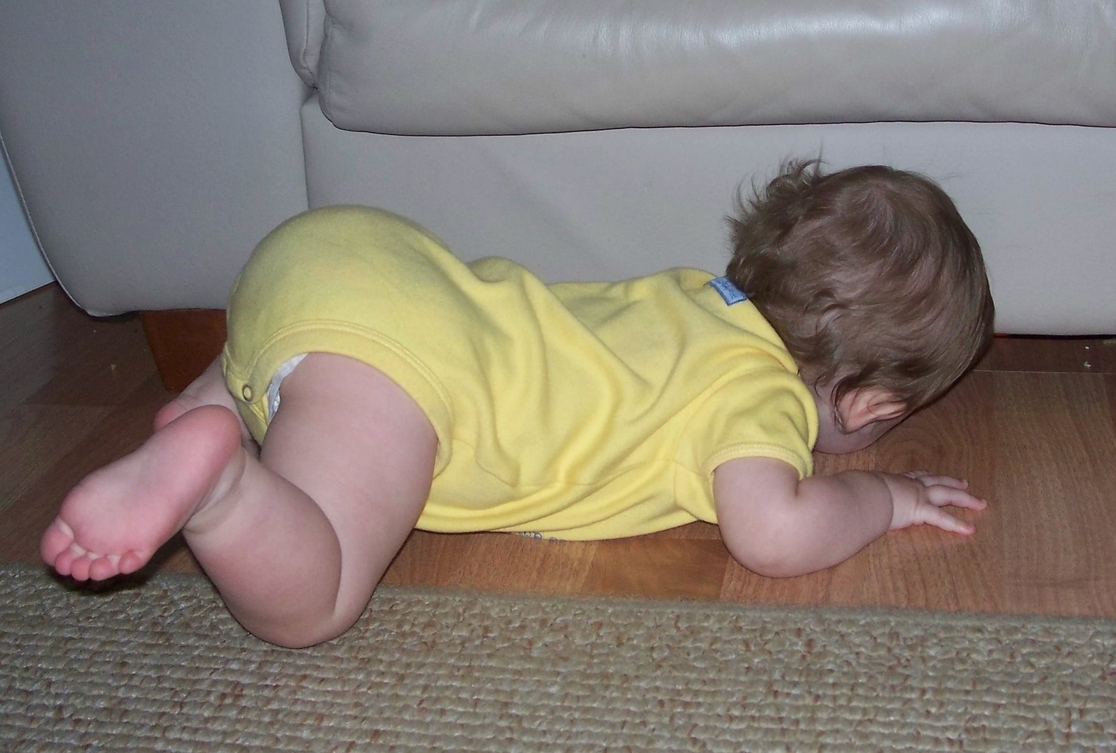 [reaching 001[2].jpg]