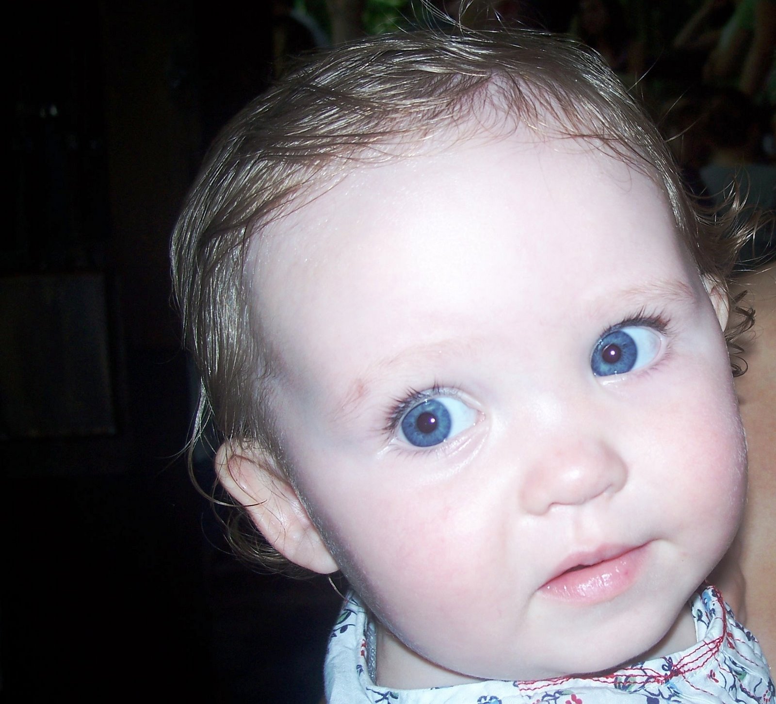 [1st animal kingdom visit 014[2].jpg]