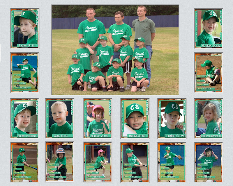 IMAGE: http://lh4.ggpht.com/fcrews/SEbAfnJb6bI/AAAAAAAAazs/cWgubF5VVdA/s800/Team20x163.jpg