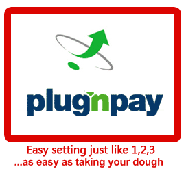 [plug'n'pay[2].png]
