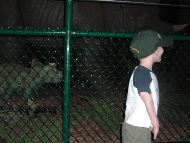 [08, 06 13  Dinosaur Park[10].jpg]