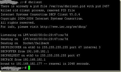 dhclient
