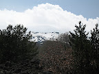 Cima tra la colata e gli alberi