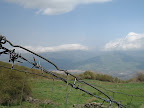 Paesaggio rinchiuso