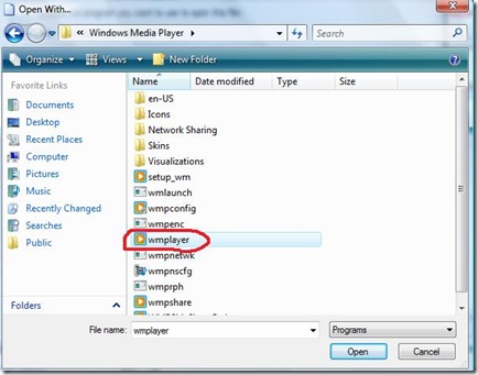 wmplayer