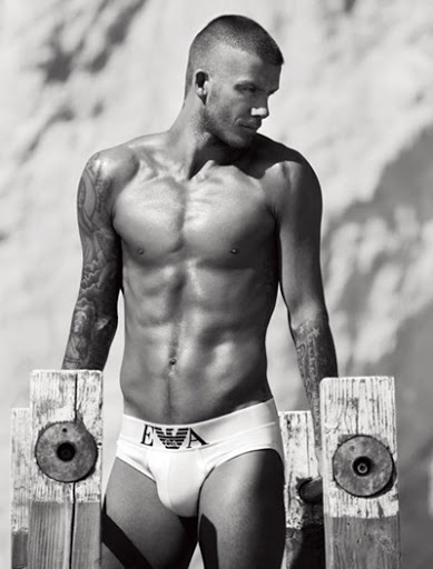 david and victoria beckham David Beckham And Victoria Beckham Photo Shoot. david and victoria beckham
