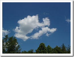P6220063