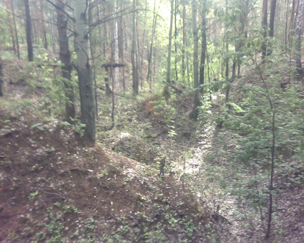 [Pictur13853.jpg]