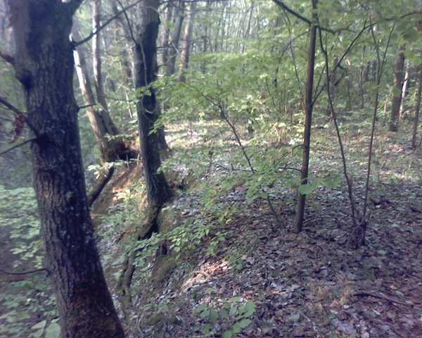 [Pictur15244.jpg]