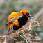 Red Bishop