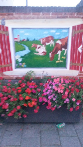 Cows On Wall