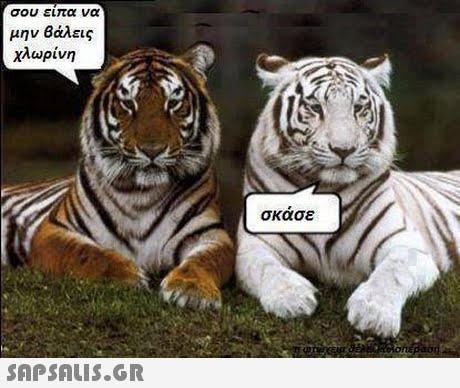σου ειπα να μην βάλεις χλωρίνη σκασε 