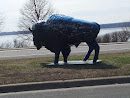 Welcome to Buffalo (South)