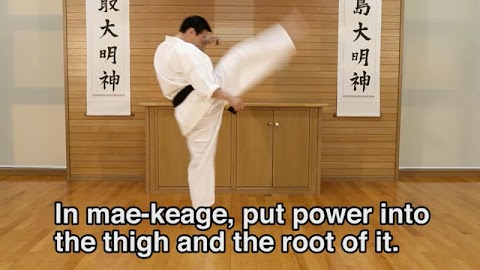 Lifelong Kyokushin Karate 10のおすすめ画像2