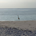 HPIM0867.JPG