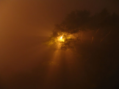 Aussicht von 'The Peak' bei Nebel