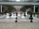 奥城国际象棋盘