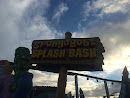 SpongeBob's Splash Bash