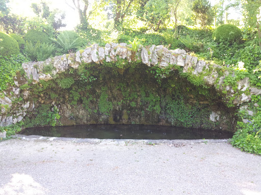 Höhlenbrunnen An Der Limmat