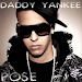 Recitales Daddy Yankee Campos Y Plateas Altas