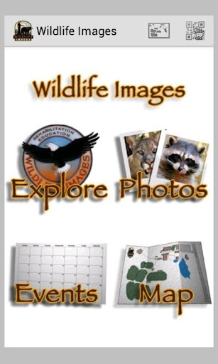Wildlife Images