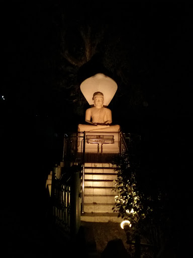 Buddha Statue at Rajamaha Viharaya