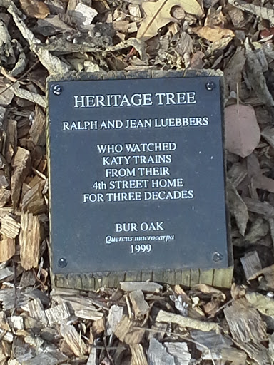 Ralph and Jean Luebbers Heritage Bur Oak