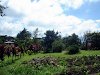 Lote San Rafael De Heredia 3
