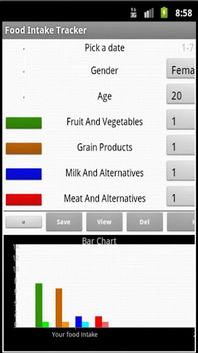 Food Intake Tracker